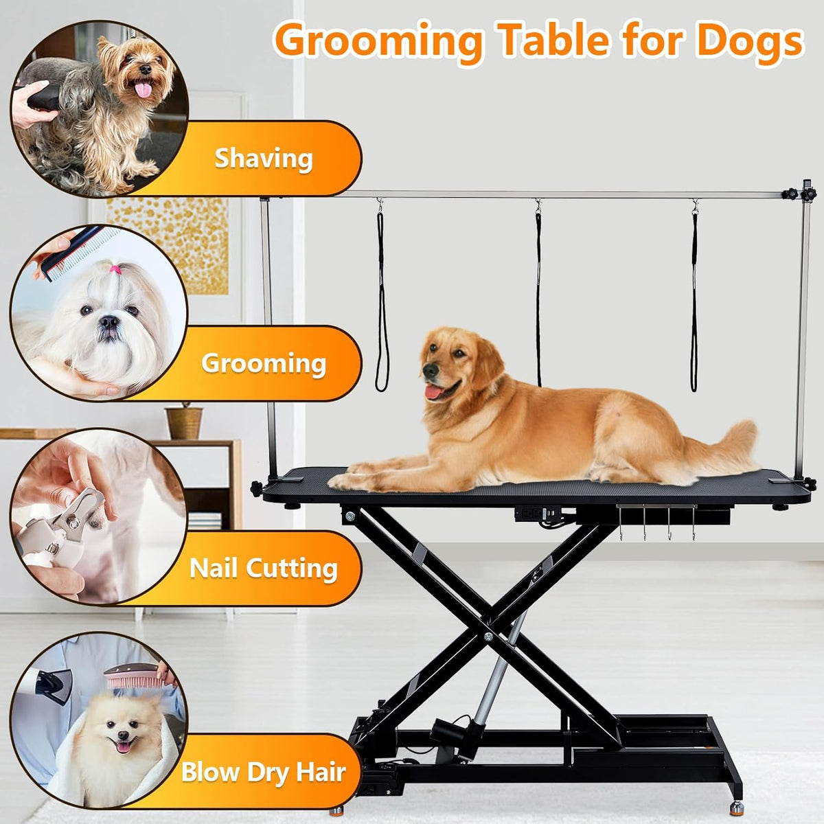 60" Hydraulic Pet Grooming Table Heavy Duty Max Load 350Lbs V218