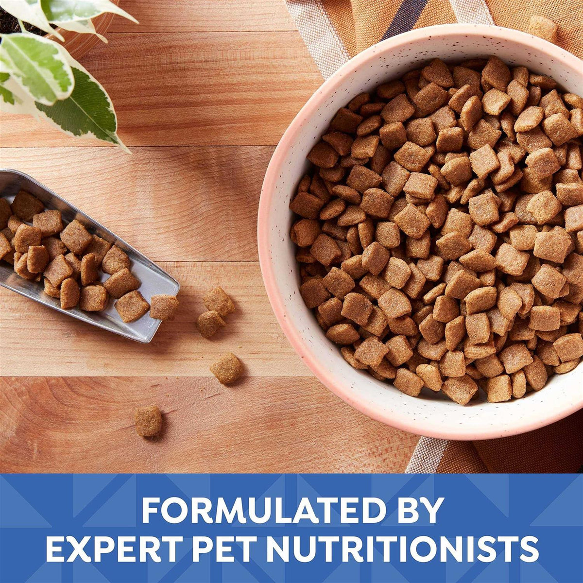 Grain Free Chicken Sweet Potato & Pumpkin Small Breed Dry Dog Food Y57116