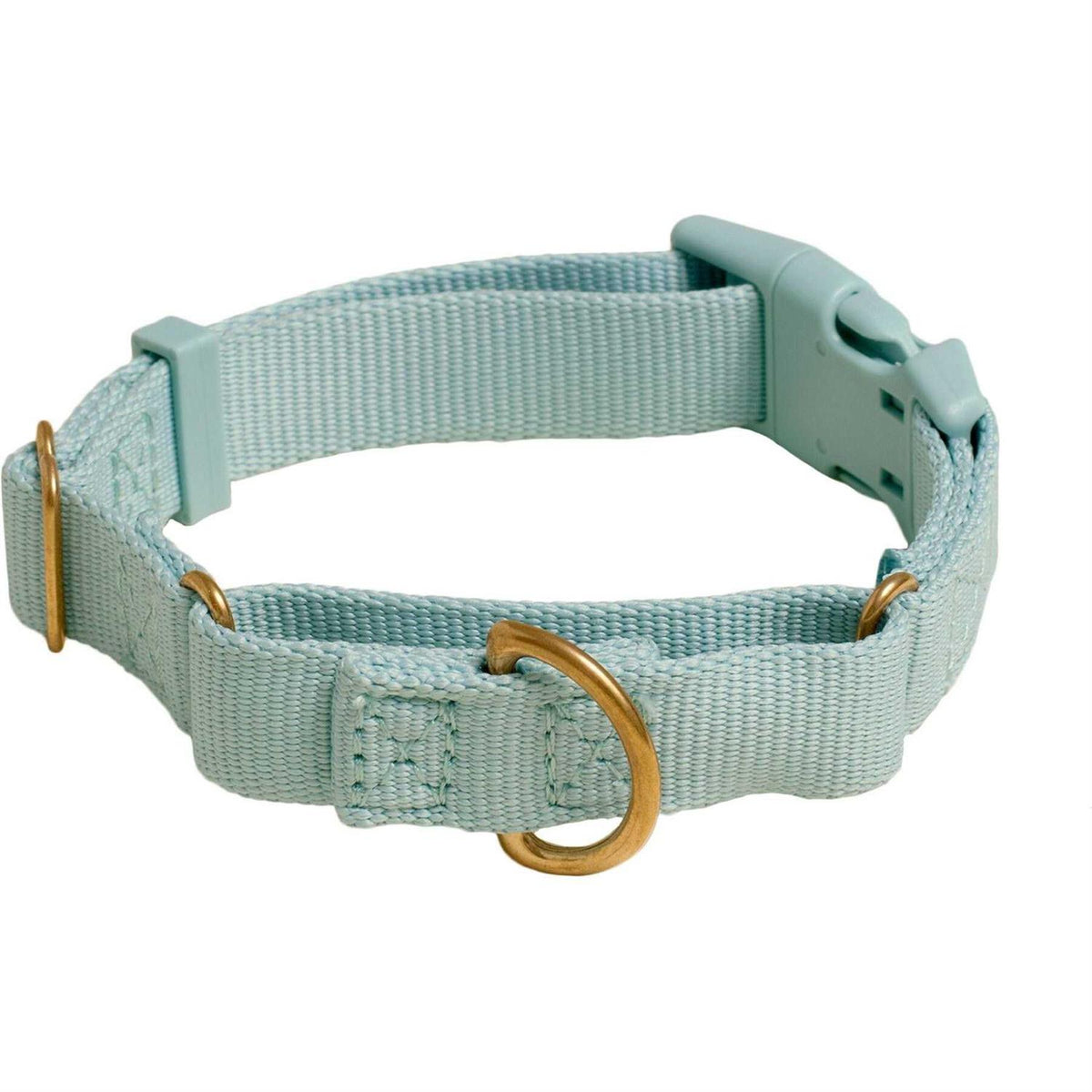 Martingale Dog Collar Q860