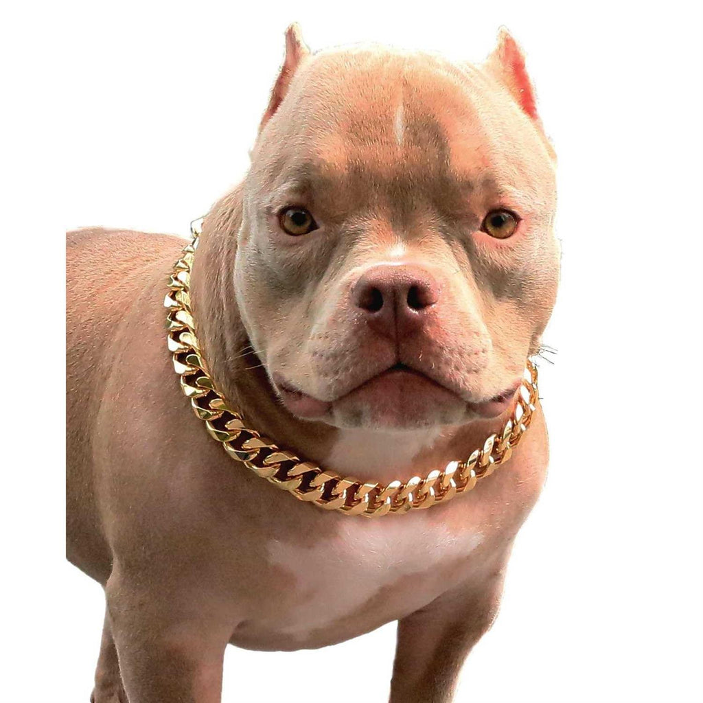 Gold Chain Cuban Link Dog Collar G4170