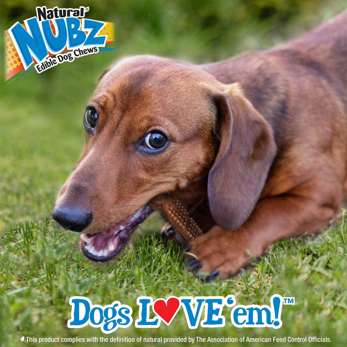 Natural Nubz Edible Dog Chews P310