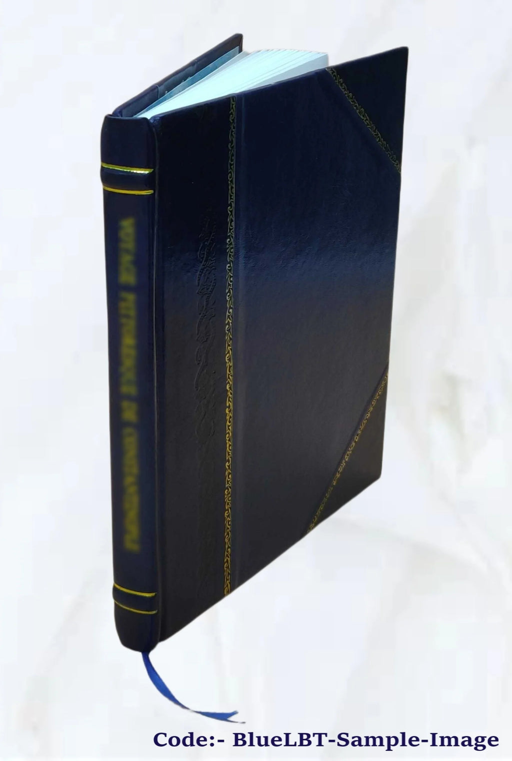 Leather Bound Book O40335