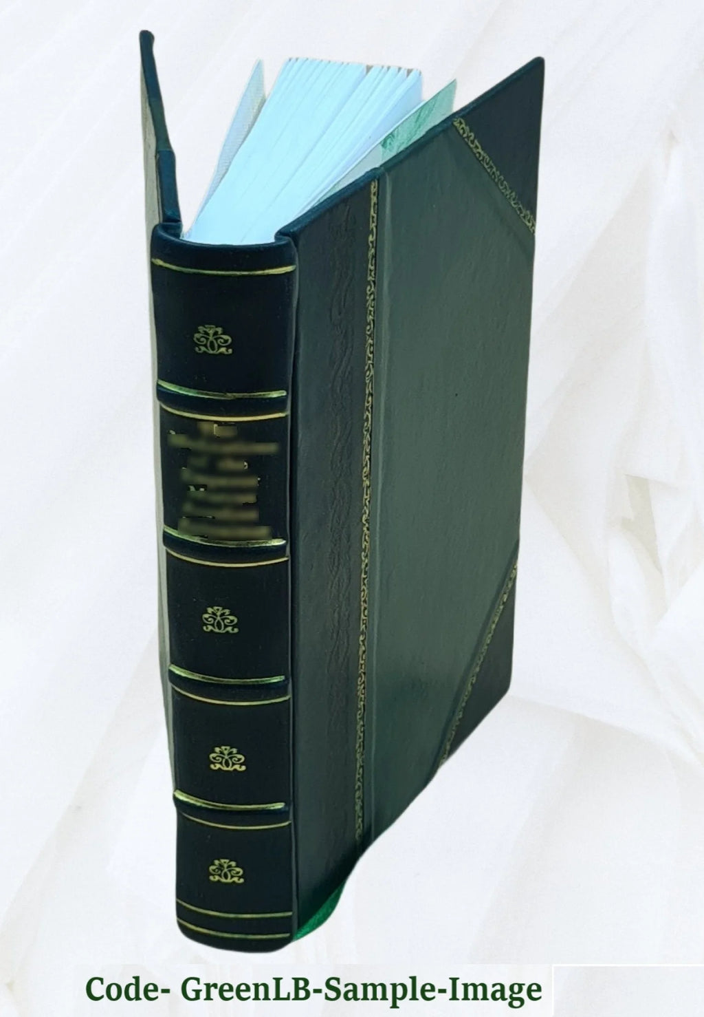 Leather Bound Book Z468