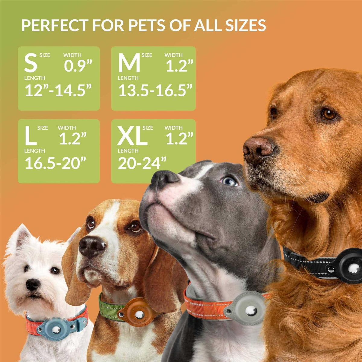Reflective Dog Collar B19559