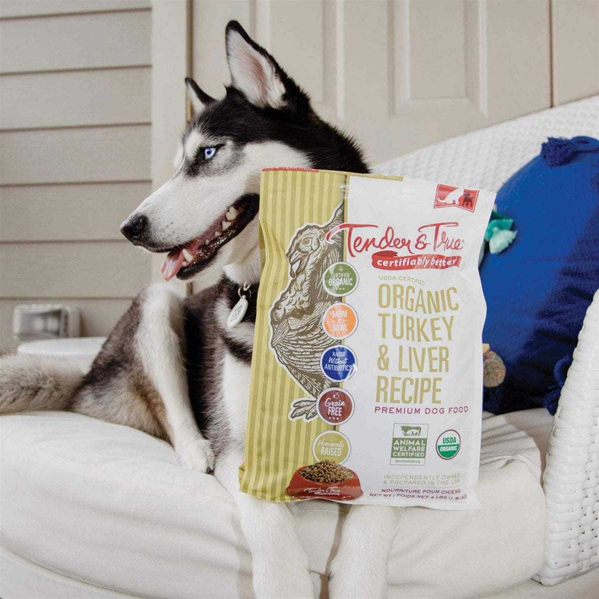 Organic Turkey & Liver Recipe Dog Food B88859