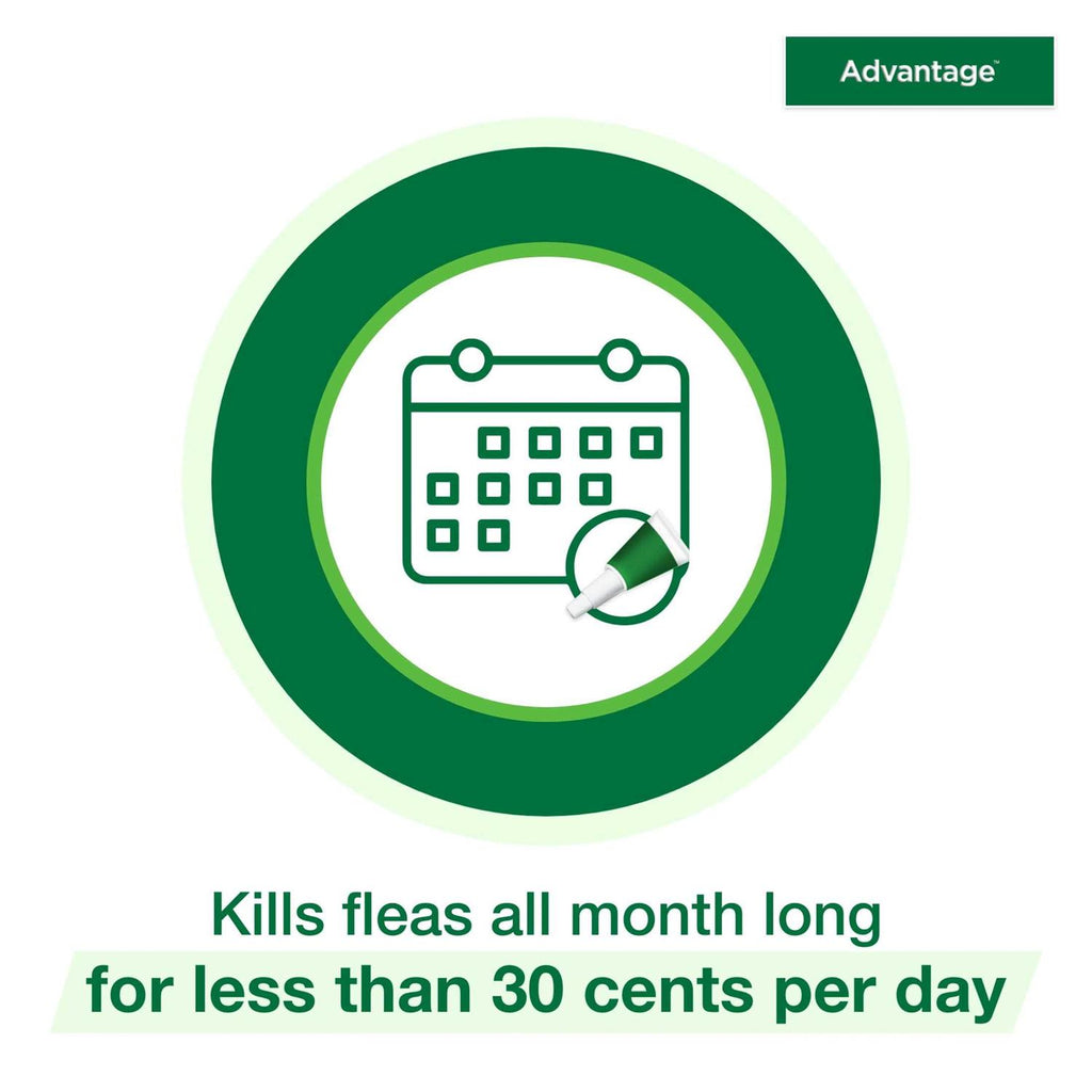 Topical Flea Prevention for Small Cats E2903