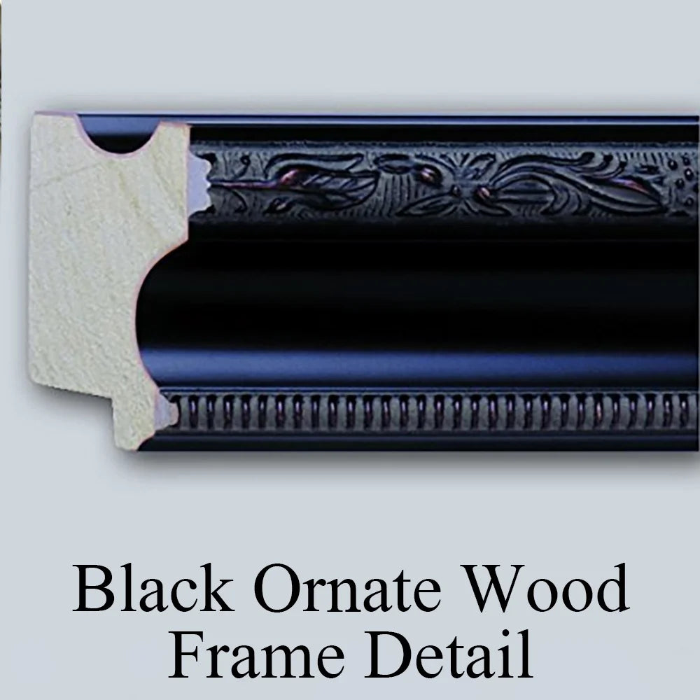 Black Ornate Wood Framed Double Matted Museum Art Print D451970