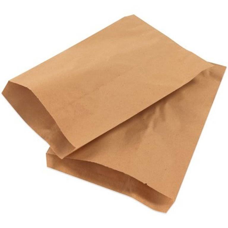 Kraft Flat Merchandise Bags B467022