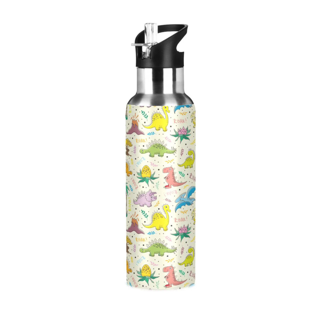 Stainless Steel Insulated Water Bottle with Straw Lid L82526