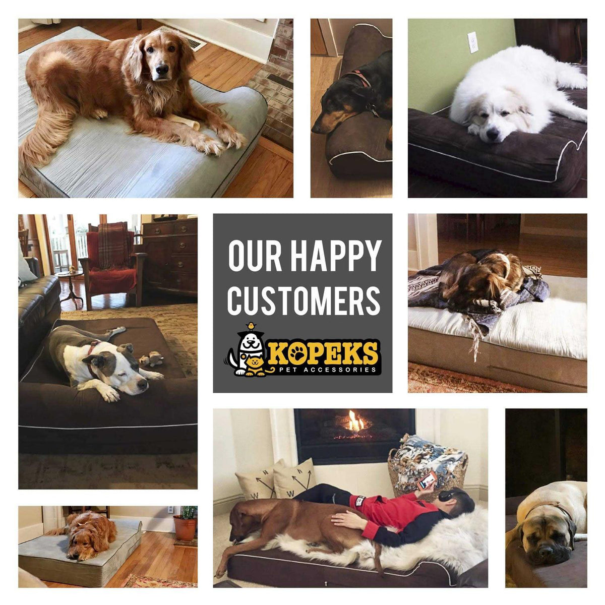Dog Bed with Pillow Memory Foam T544
