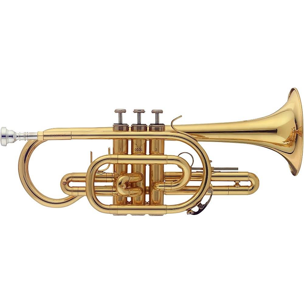 Bb Cornet with Case S480821