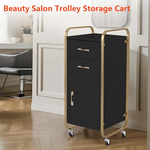 Salon Storage Trolley Cart with Wheels R3319