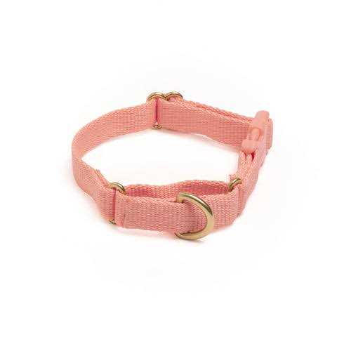 Martingale Dog Collar Q860