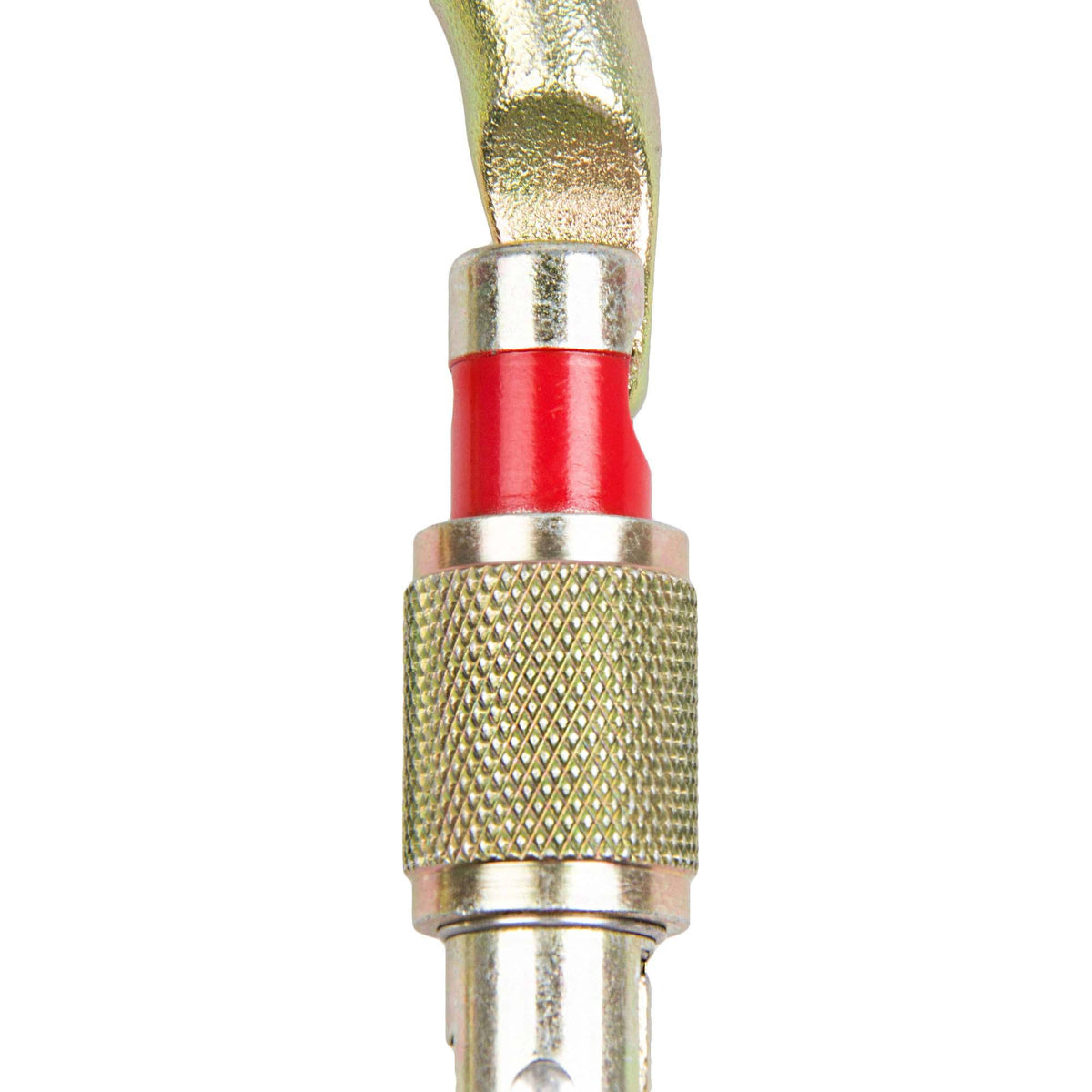 Screw Lock Carabiner F81306