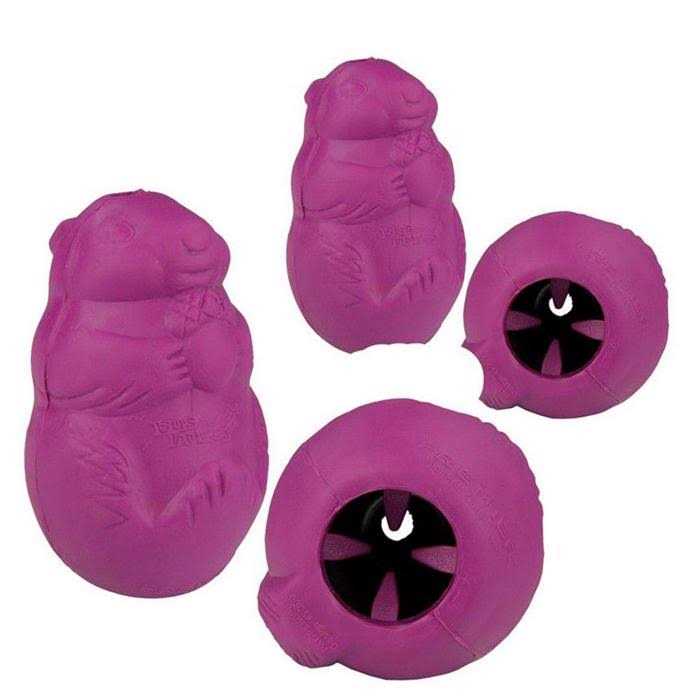 Squirrel Dude Dog Toy L50763