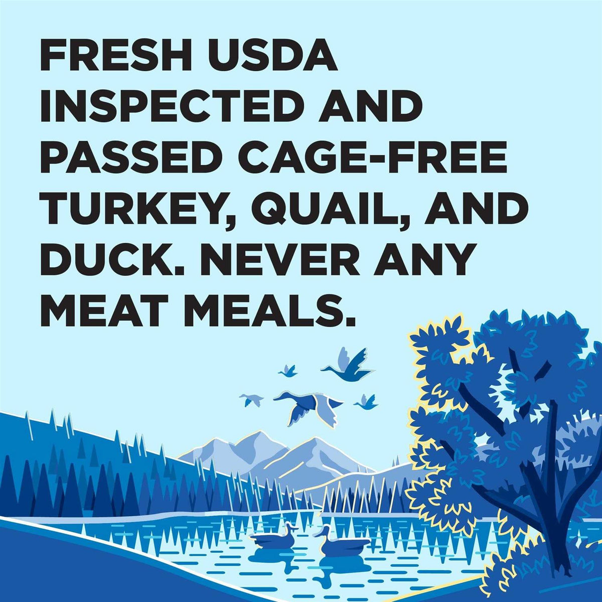 Dry Dog Food G5245
