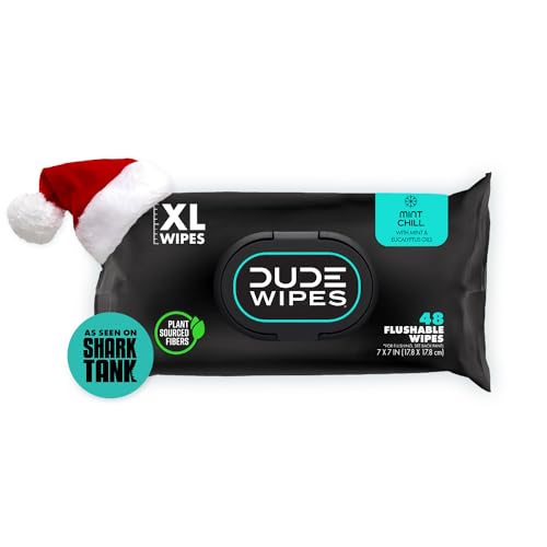 48 Wipes Mint Chill Extra-Large Adult Wet Wipes G651031