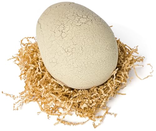 Interactive Toy Dinosaur & Egg C332082