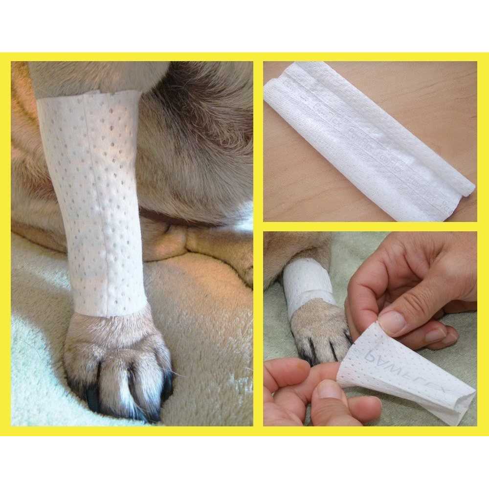Protective Dog Bandage Cover B405