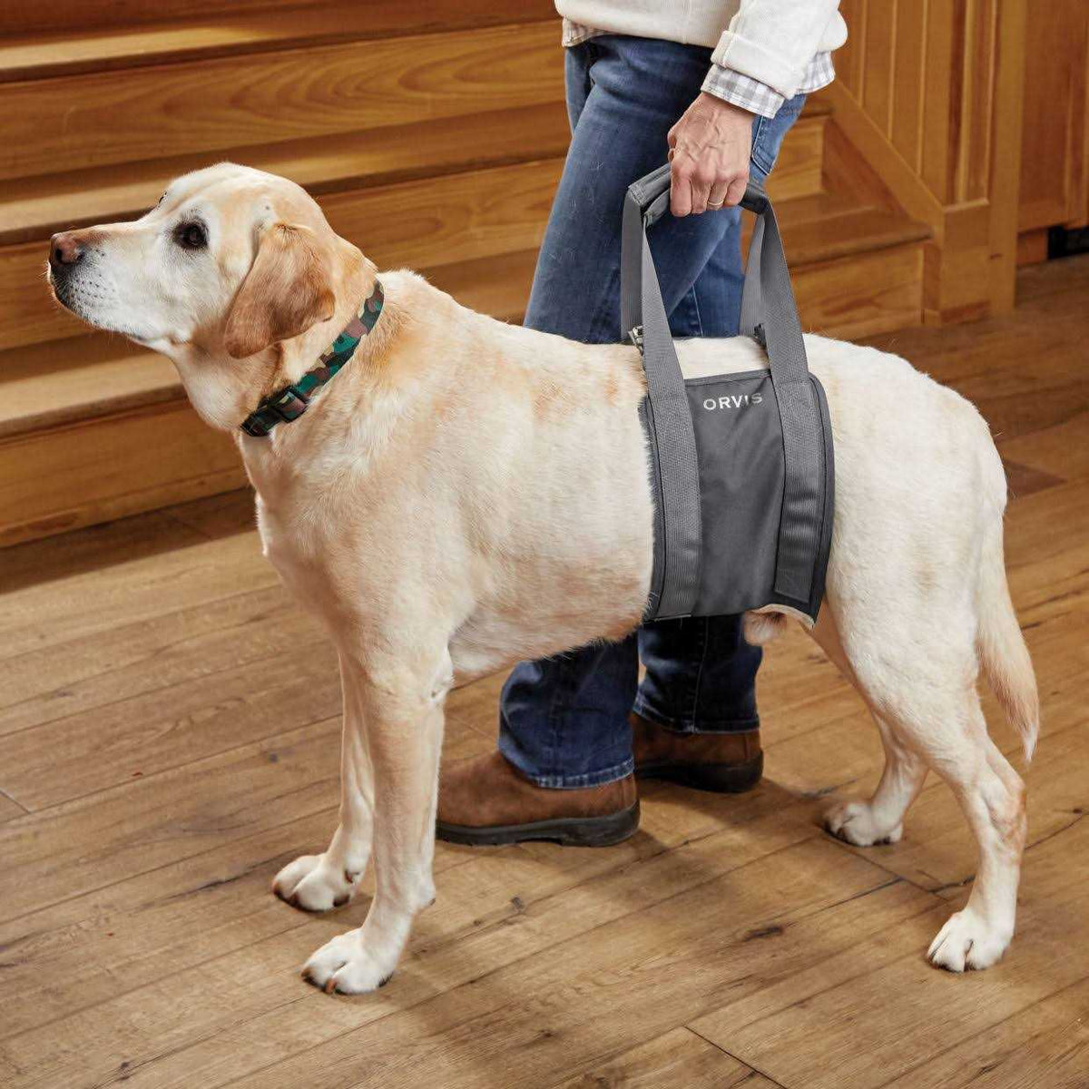 Gray Rear Dog Lift V15795