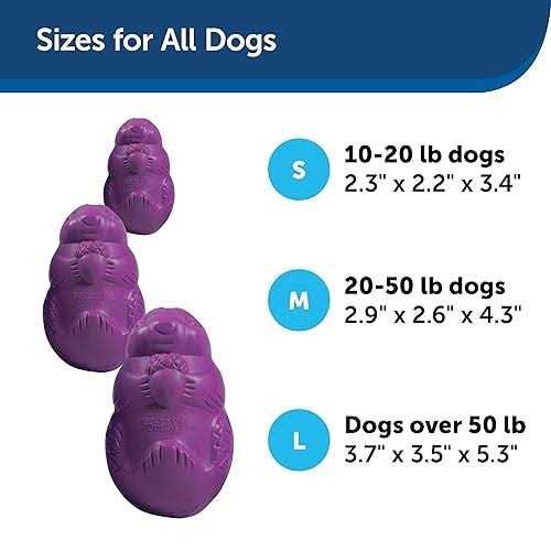Squirrel Dude Dog Toy L50763