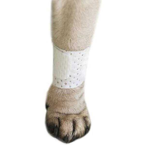 Protective Dog Bandage Cover B405