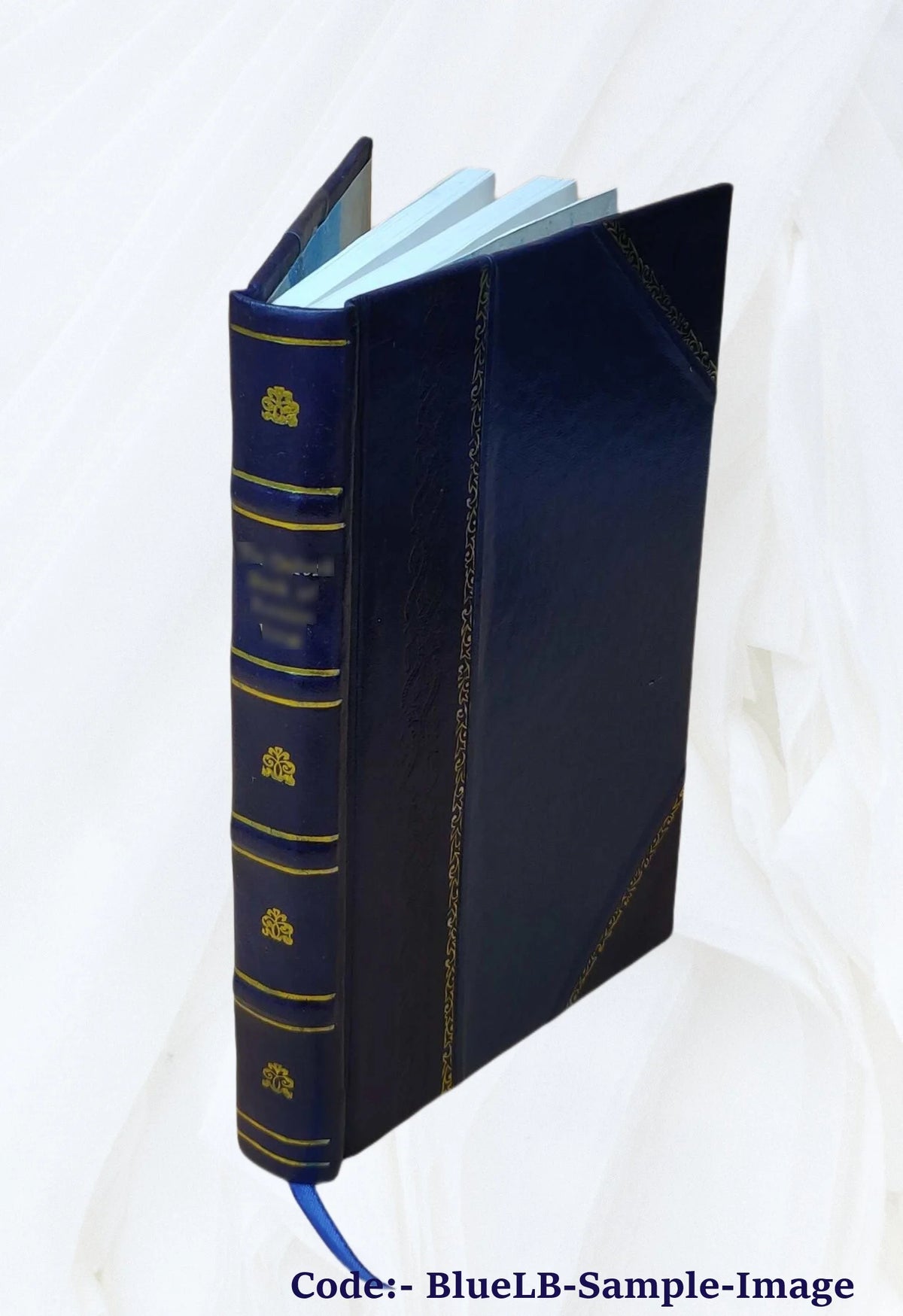 Leather Bound Book Z468