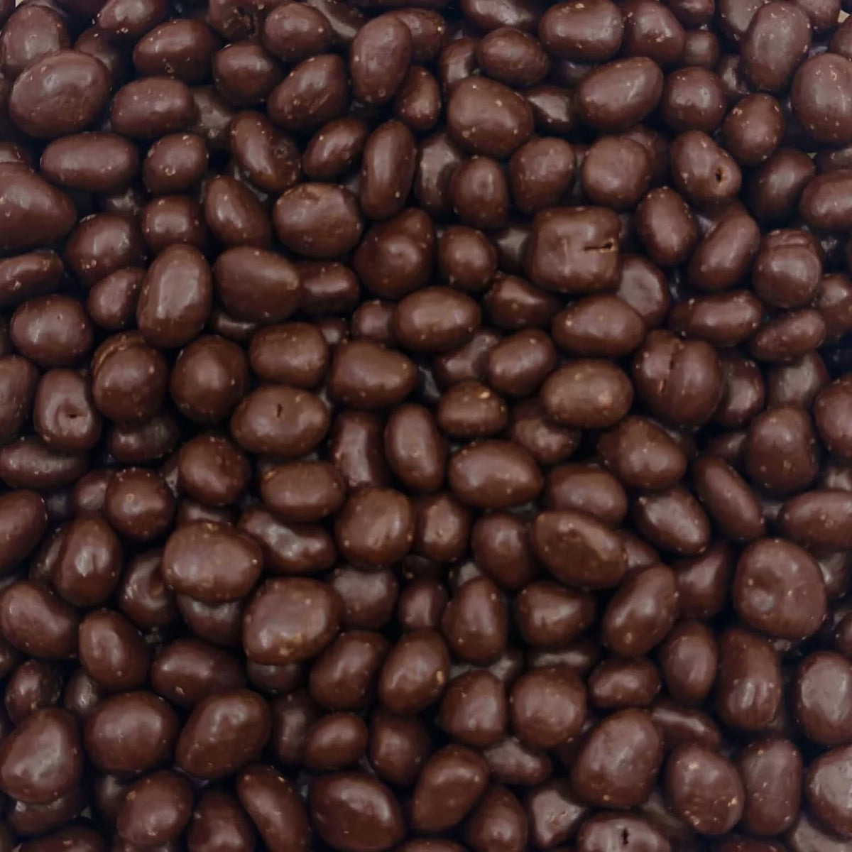 Dark Chocolate Covered Raisins 2-Pound Bag Z25547
