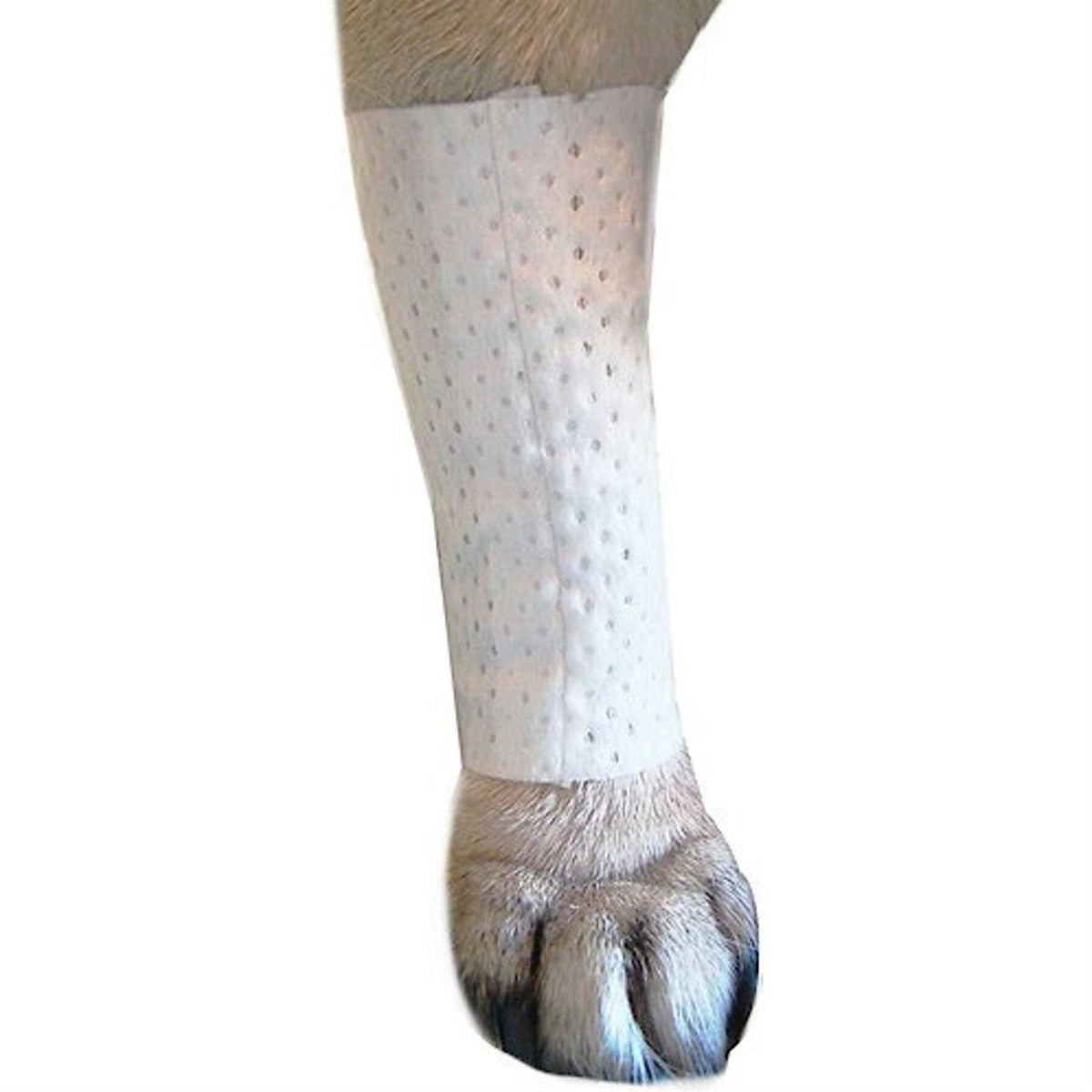 Protective Dog Bandage Cover B405