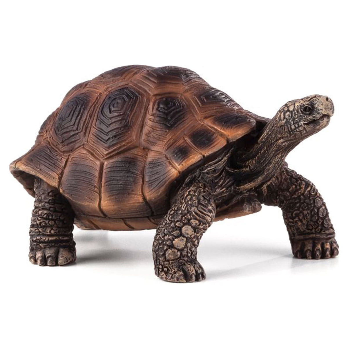 Giant Turtle Wildlife Figurine J4660