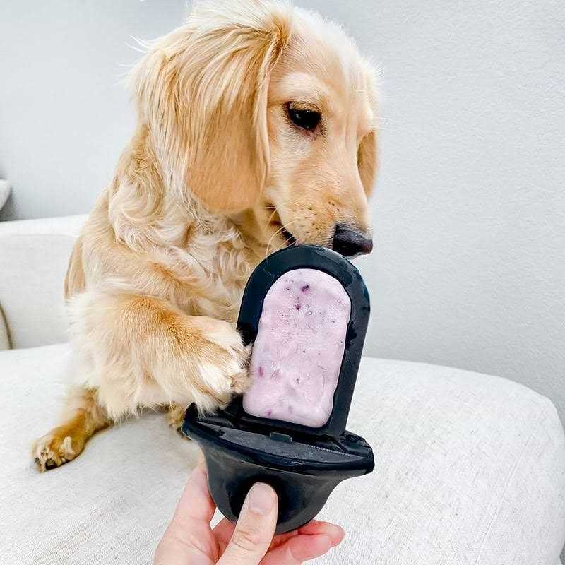 Dog Crate Training Aid O184