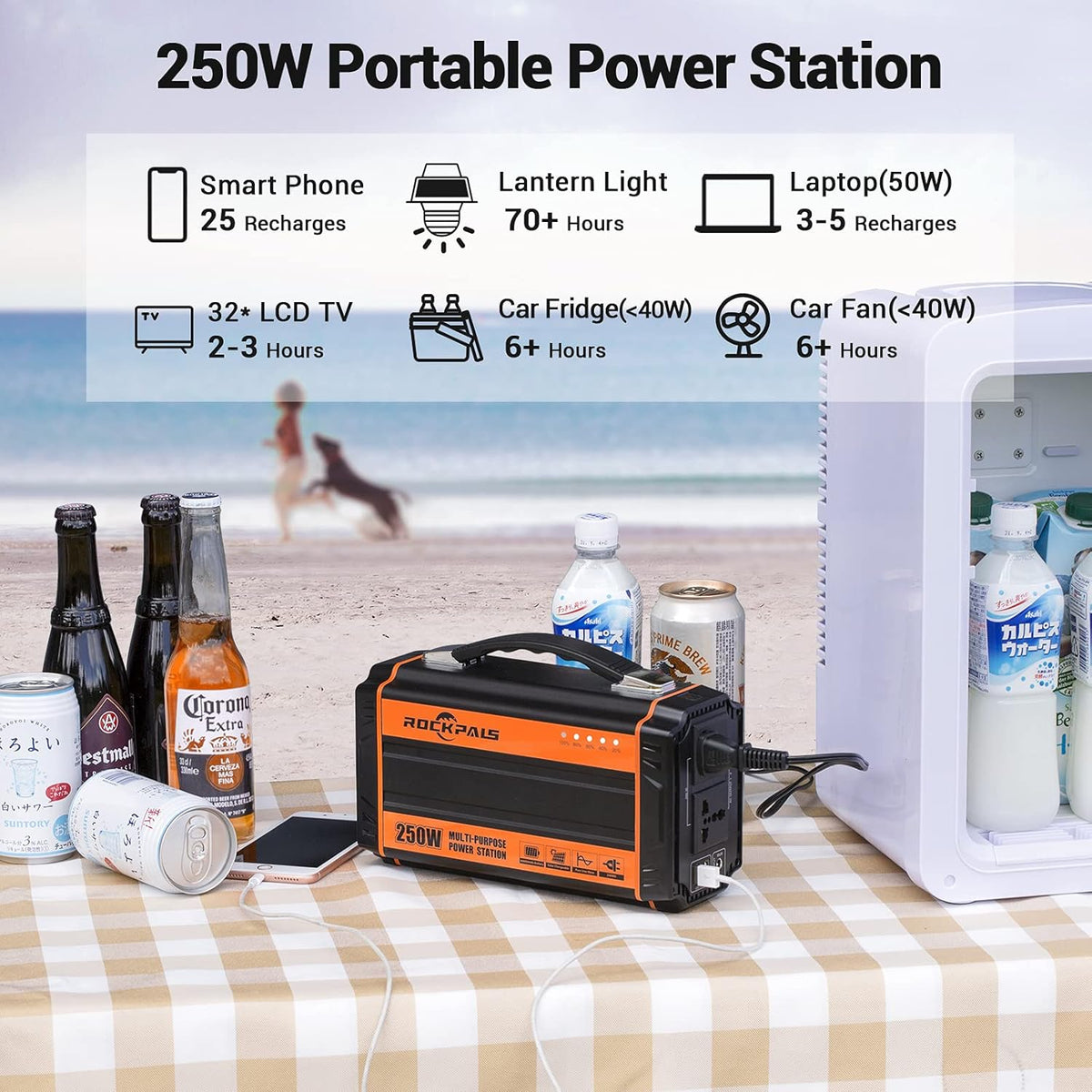 250-Watt Portable Lithium Battery Generator with 110V AC Outlet R1037