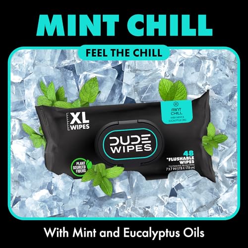 48 Wipes Mint Chill Extra-Large Adult Wet Wipes G651031