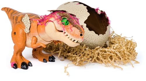 Interactive Toy Dinosaur & Egg C332082