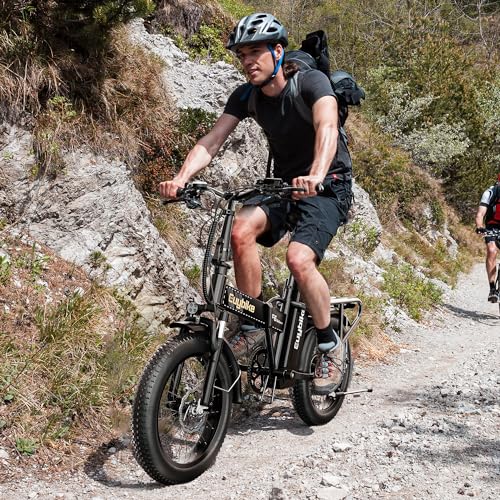 20" Fat Tire Folding Electric Bike with 48V 20AH Removable Battery L89829