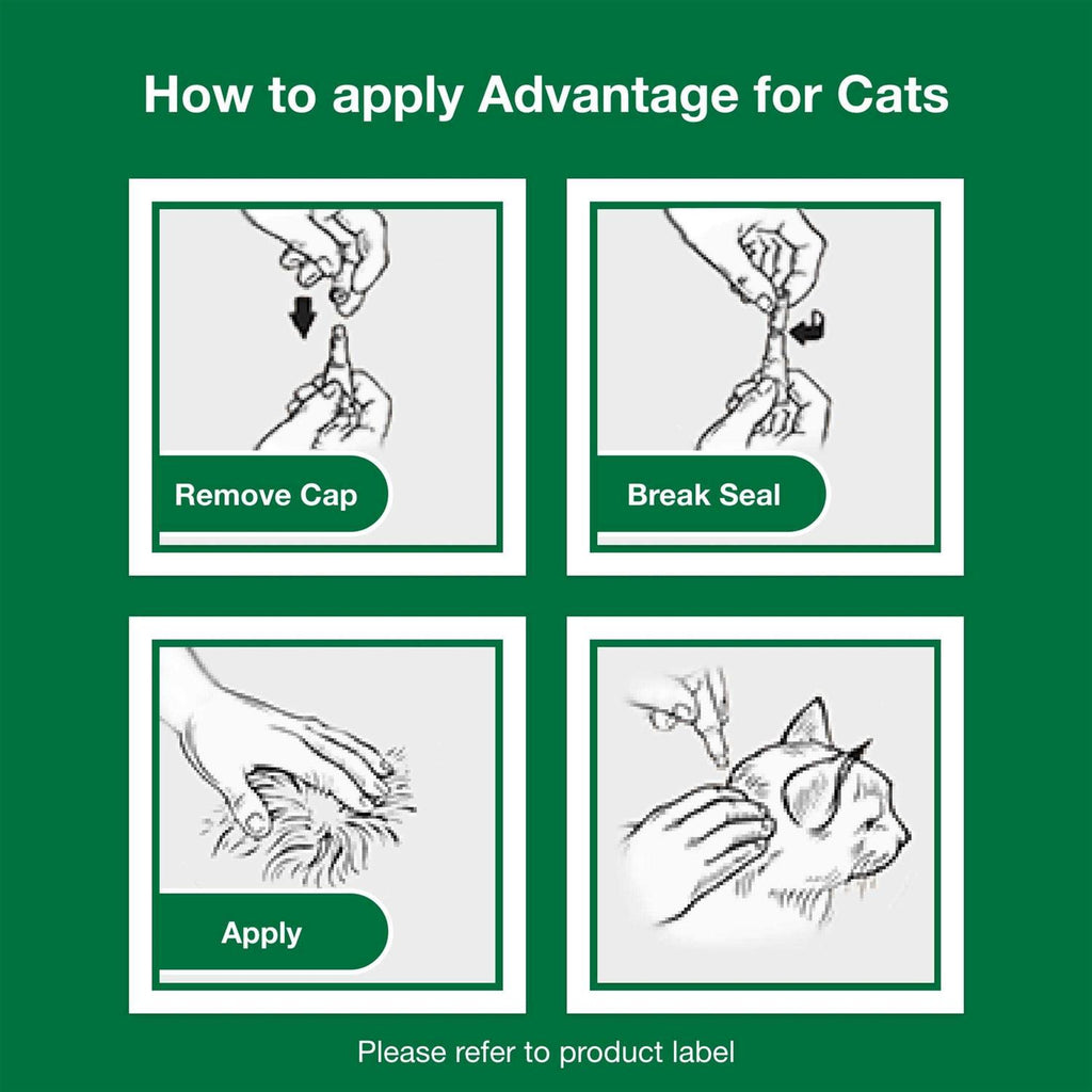 Topical Flea Prevention for Small Cats E2903
