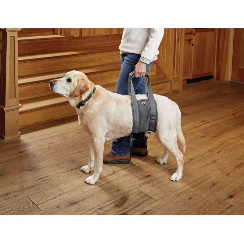 Gray Rear Dog Lift V15795
