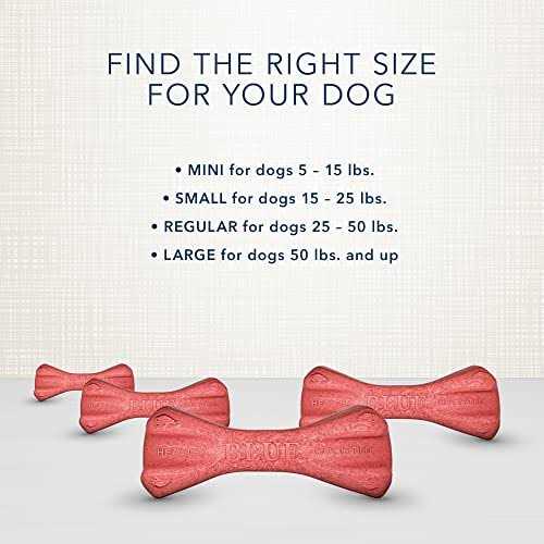 Dental Bones Dog Treats Y58774