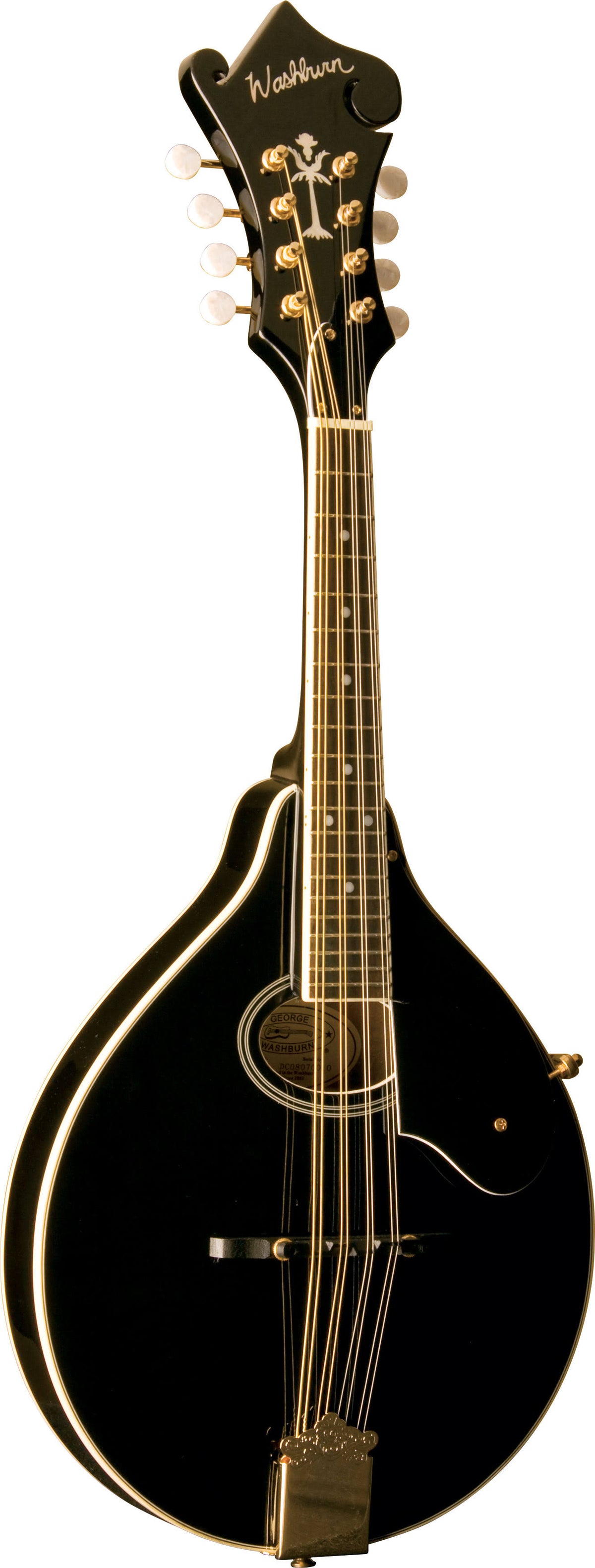 Black A-Style Mandolin D572967