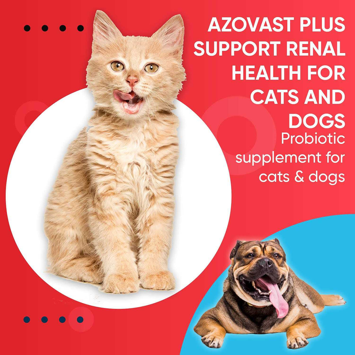 Kidney Health Supplement for Dogs & Cats Oral Paste F189899