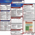 Fed/STA Mo SP Labor Law Poster 20inH 1yr S434663