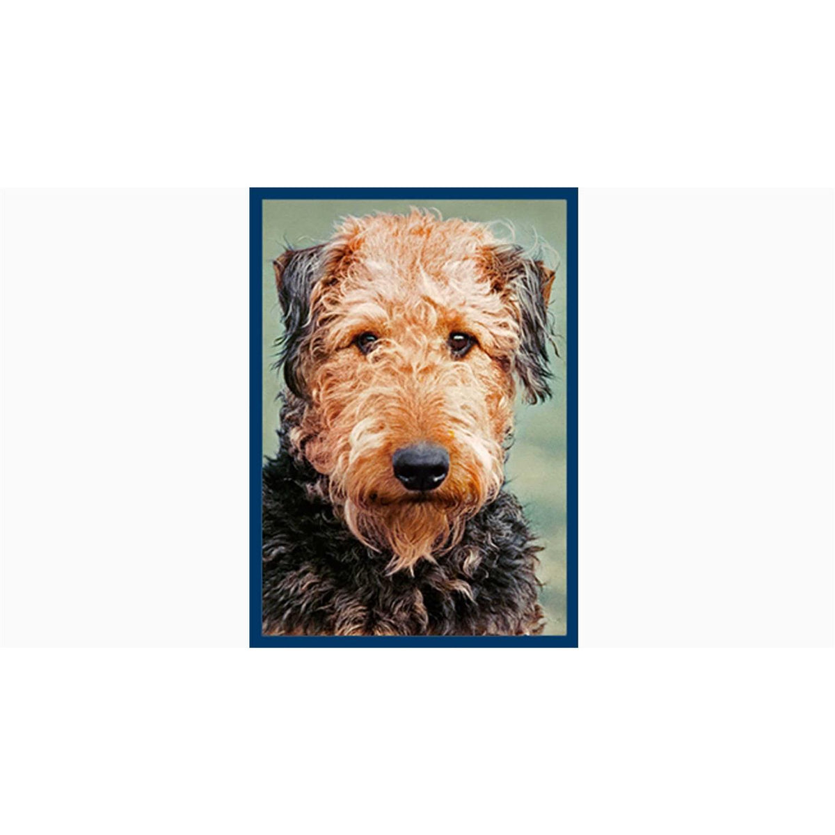 Dental Bones Dog Treats Y58774