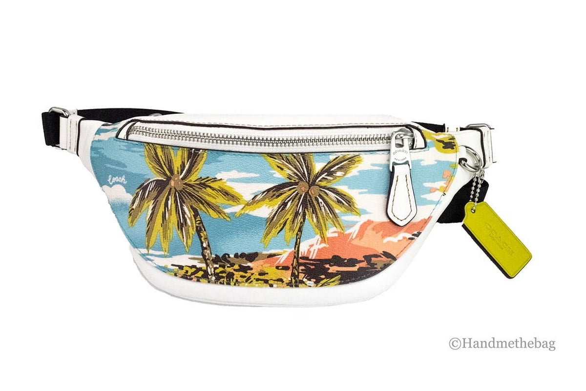 Leather Belt Bag Waist Fanny Pack M5445