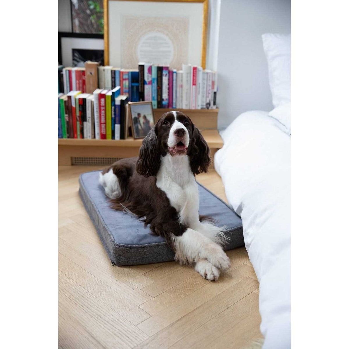 Memory Foam Crate Pad & Dog Bed V3003