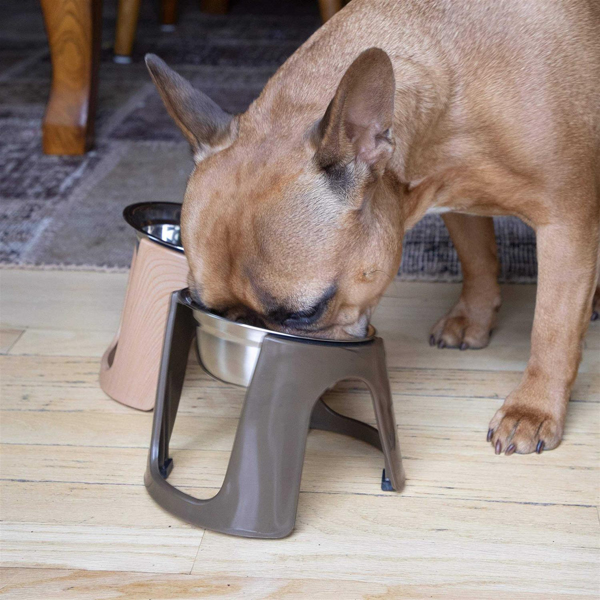 Raised Stainless Steel Food Bowls L822734