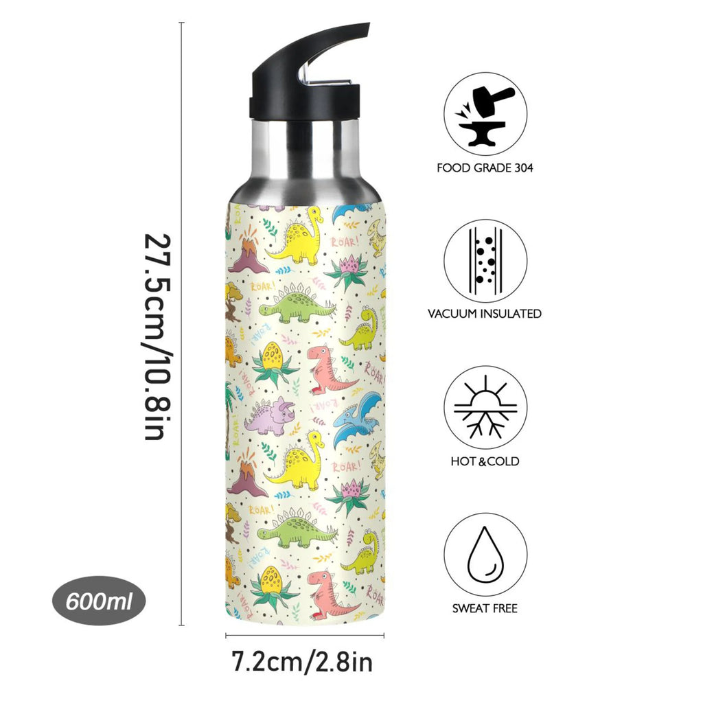 Stainless Steel Insulated Water Bottle with Straw Lid L82526