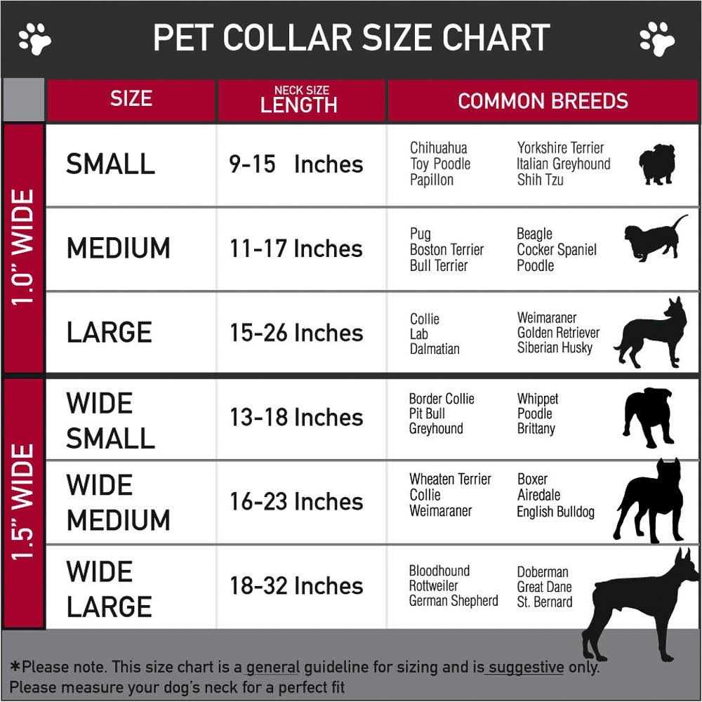 Seatbelt Dog Collar C709