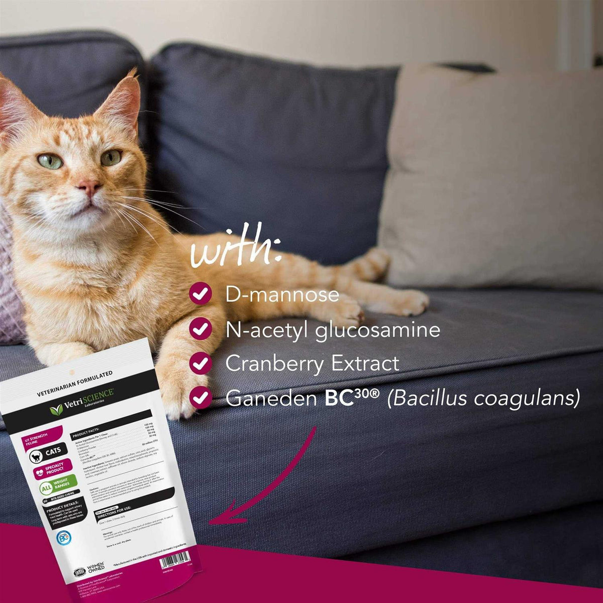 Feline Pet Supplies U65506