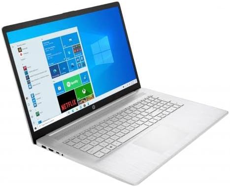 17.3" HD+ Touchscreen Laptop, AMD Athlon Gold 3150U, 8GB RAM, 256GB SSD, Natural Silver L593841