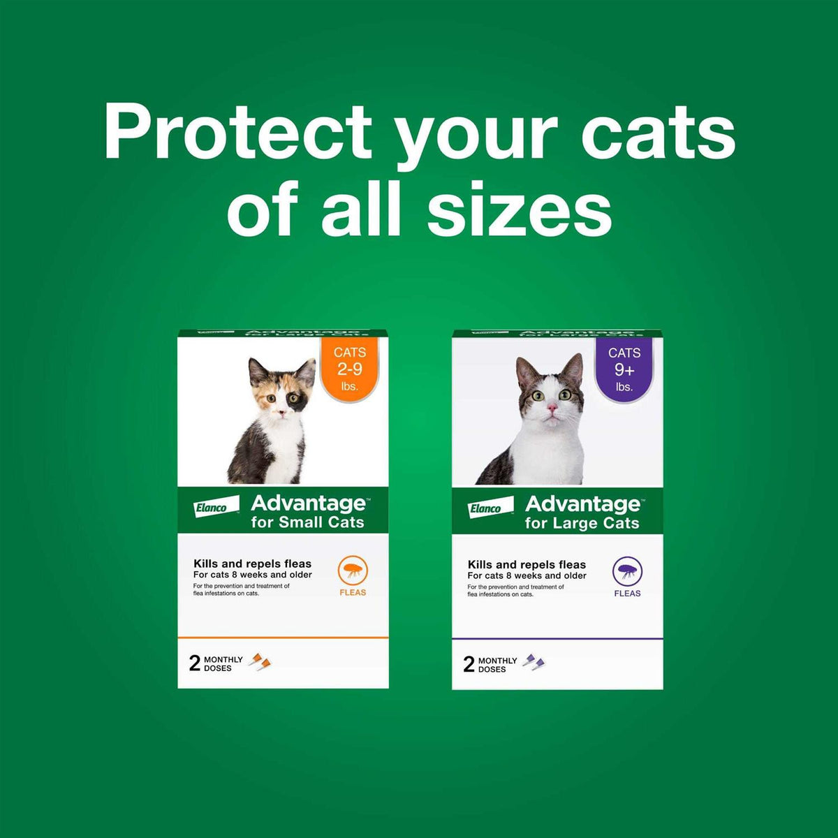 Topical Flea Prevention for Small Cats E2903